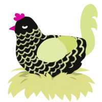 Konton, a black and lemon chicken with a lace pattern