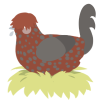 A russet and grey chicken with a speckle pattern