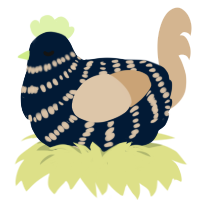 Truffles, a tumblr and beige chicken with a bar pattern