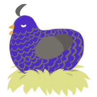 Edible Glitter Tea, a indigo and grey chicken with a lace pattern