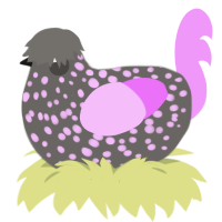 Ink Sac, a grey and lavender chicken with a speckle pattern