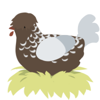 A bark and mist chicken with a half-lace pattern