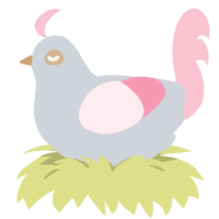 Iris Florentina, a mist and rose chicken
