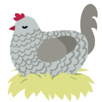 California Gray, a silver and ash chicken with a lace pattern