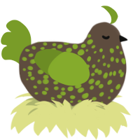 A bark and chartreuse chicken with a speckle pattern