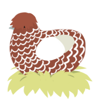 A russet and white chicken with a lace pattern
