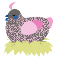Dust, a grey and pink chicken with a double-lace pattern