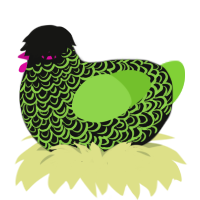 A black and grass chicken with a double-lace pattern