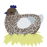 (unnamed), a bark and mist chicken with a double-lace pattern