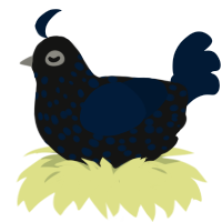 A black and tumblr chicken with a speckle pattern