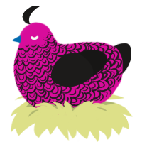 Neon Highlighter, a fuchsia and sable chicken with a double-lace pattern