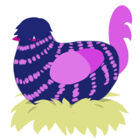 (unnamed), a navy and orchid chicken with a bar pattern