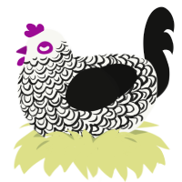 A white and black chicken with a double-lace pattern