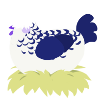 Blue Wonder, a white and navy chicken with a half-lace pattern