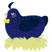 A navy and tumblr chicken with a half-lace pattern
