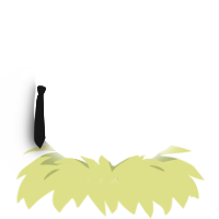 A white chicken with a bar pattern