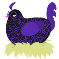 Purple Void, a black and overcast chicken with a double-lace pattern