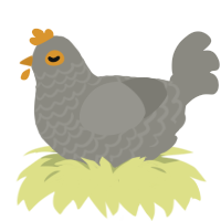 strange pigeon, a ash chicken with a lace pattern