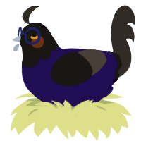 VVIII Pater, a apple and mist chicken with a head pattern