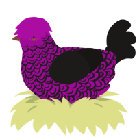 barely hanging on, a plum and sable chicken with a double-lace pattern