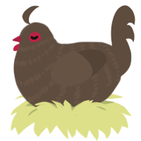 A bark chicken with a bar pattern