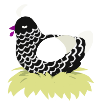 A black and white chicken with a lace pattern