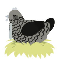 Greyscale, a ash and black chicken with a lace pattern