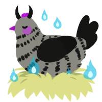 Ender Dragon, a ash and black chicken with a bar pattern