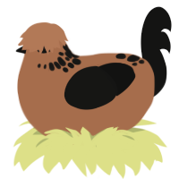 Chocolate Bar, a brown and black chicken with a neck-speckle pattern