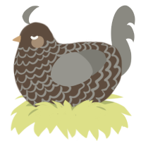 loamy soil, a bark and ash chicken with a lace pattern