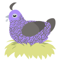 (unnamed), a lilac and grey chicken with a double-lace pattern