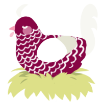 Cheer, a maroon and white chicken with a lace pattern