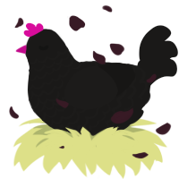 Voice of the Smitten, a sable chicken with a lace pattern