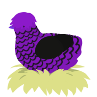 Aubergine, a violet and black chicken with a lace pattern