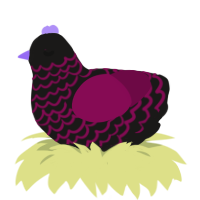 (unnamed), a sable and wine chicken with a lace pattern