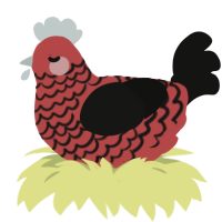 Hua Chick, a red and black chicken with a lace pattern