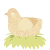 the skin, a honey chicken with a double-lace pattern
