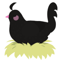 Wytch, a sable chicken with a speckle pattern