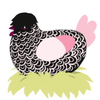 A black and rose chicken with a double-lace pattern