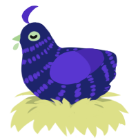(unnamed), a navy and indigo chicken with a bar pattern
