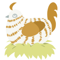 A white and gold chicken with a bar pattern