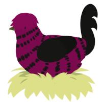 BlackBerry, a wine and black chicken with a bar pattern