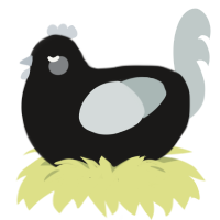 X, a sable and silver chicken