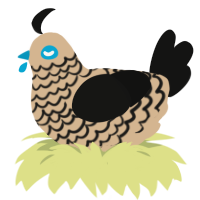 11, a beige and black chicken with a lace pattern