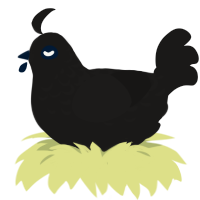 Sable Imposter, a sable chicken with a half-lace pattern