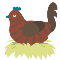 Chestnut, a russet and bark chicken with a bar pattern