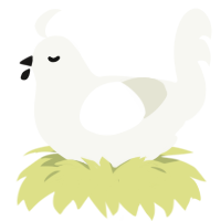 A white chicken