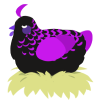 Luthario, a sable and amethyst chicken with a half-lace pattern