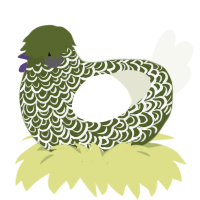 A olive and white chicken with a double-lace pattern