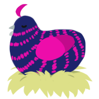 ALMOST PERFECT, a navy and fuchsia chicken with a bar pattern
